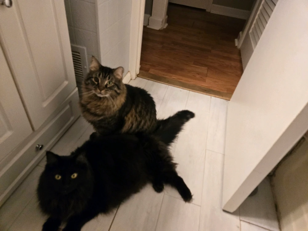 Image uploaded by Intro78