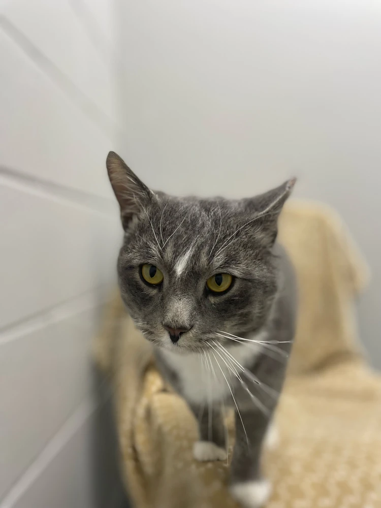 Image uploaded by Robbie