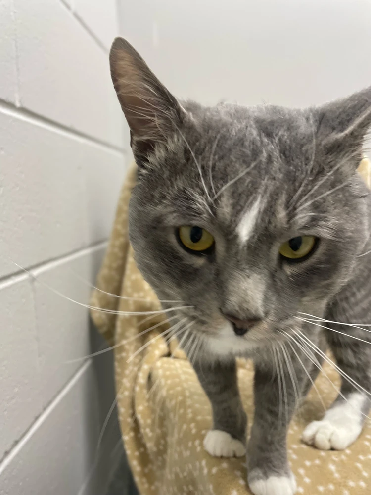 Image uploaded by Robbie