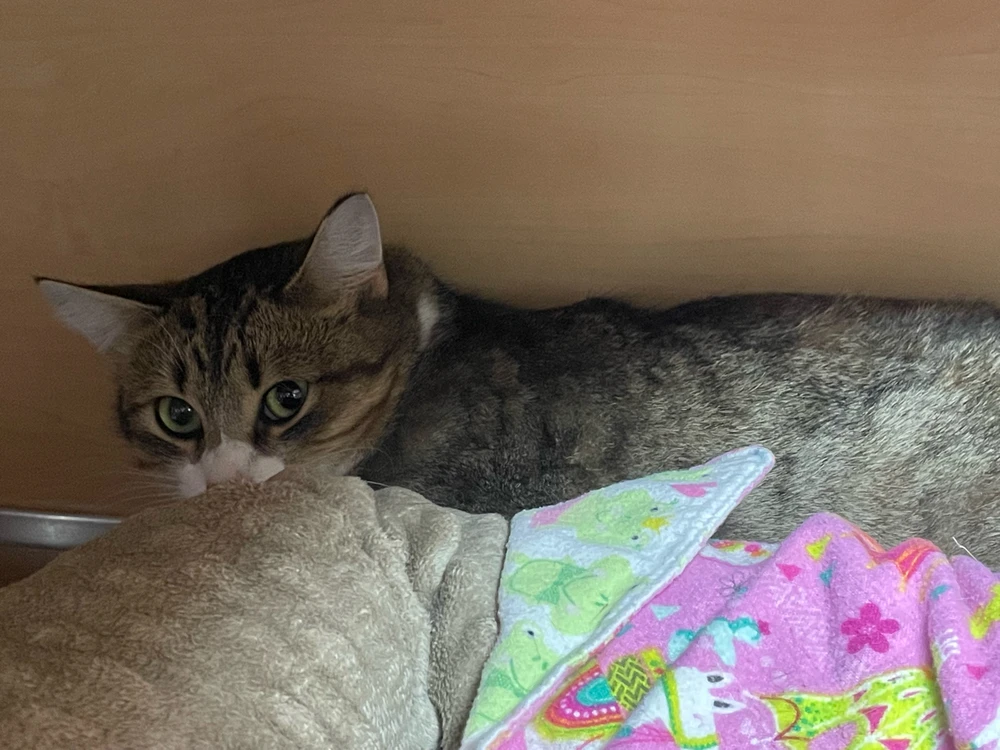 Image uploaded by Robbie