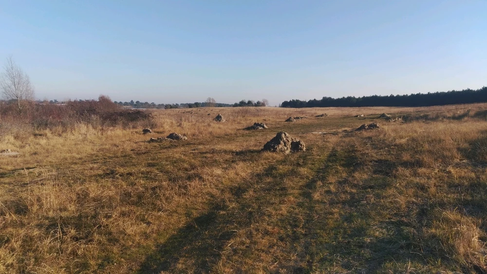 Bild hochgeladen von Tony (Knuddel McKnuddelgesicht)