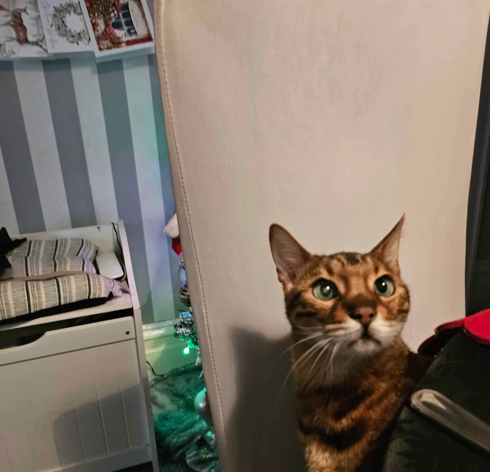 Image uploaded by Andrew