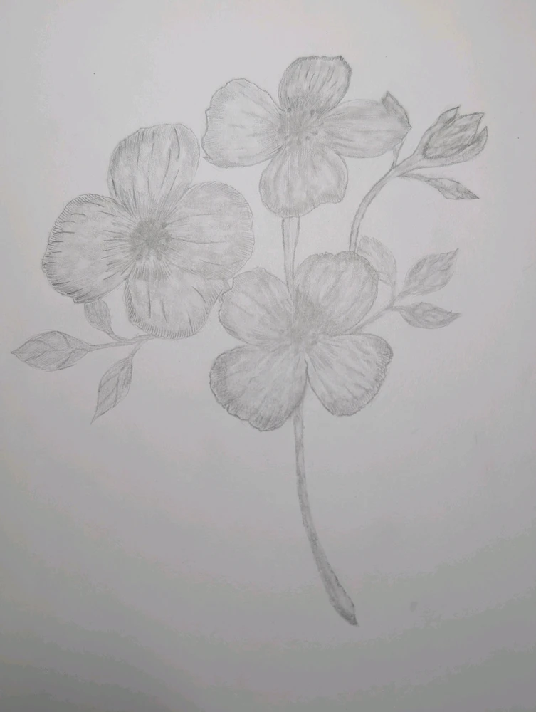 Гіфку завантажив Mykola