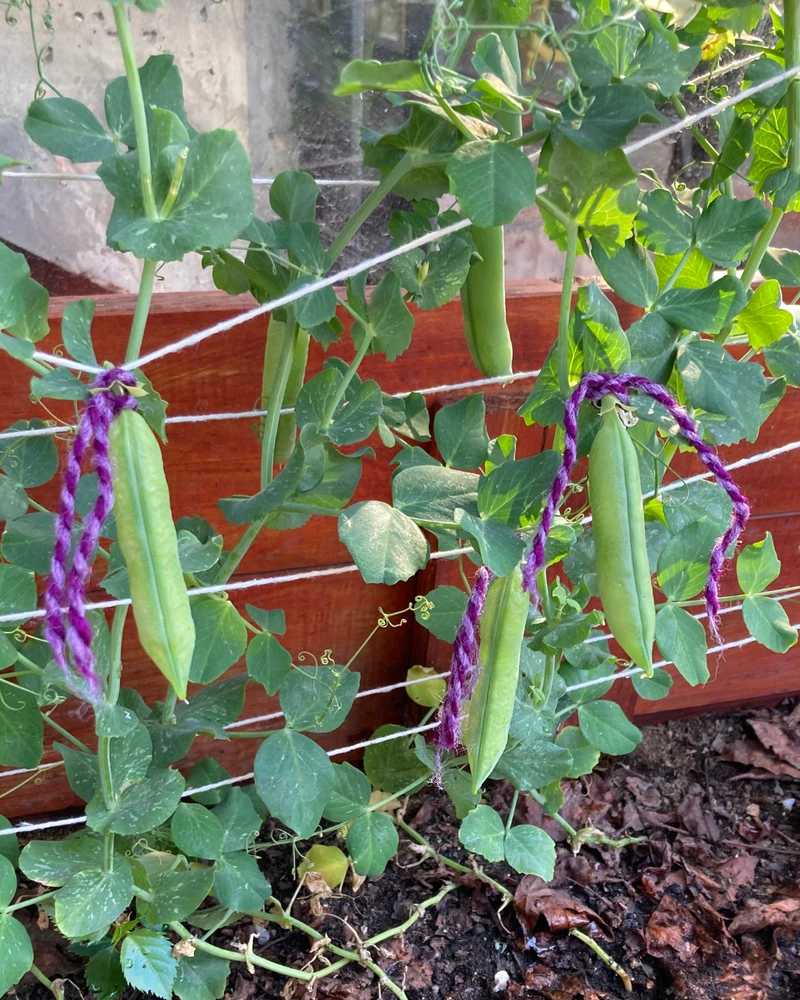 Imagen subida por Juan Pablo