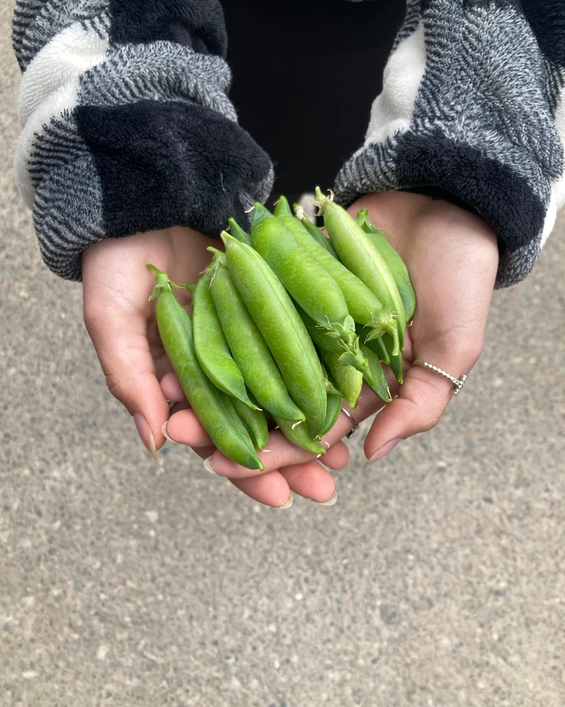 Imagen subida por Juan Pablo