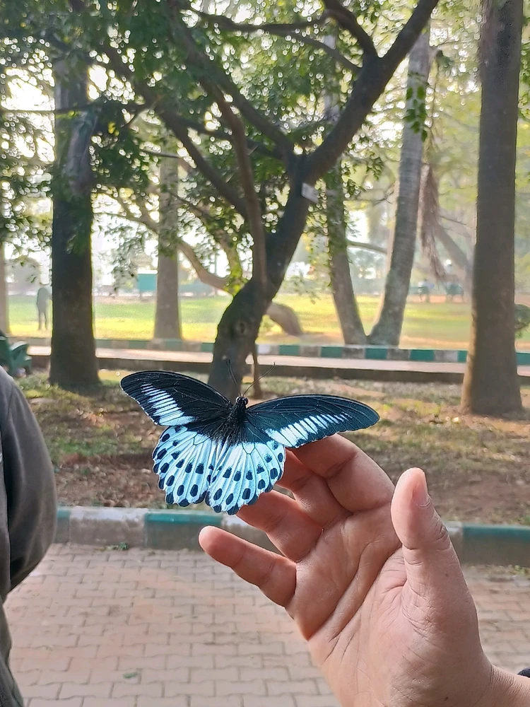 GIF diunggah dening Gokul