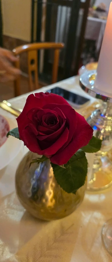 Immagine caricata da Francesca