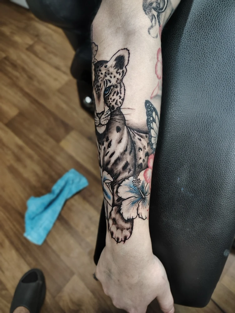 Image uploaded by Snow