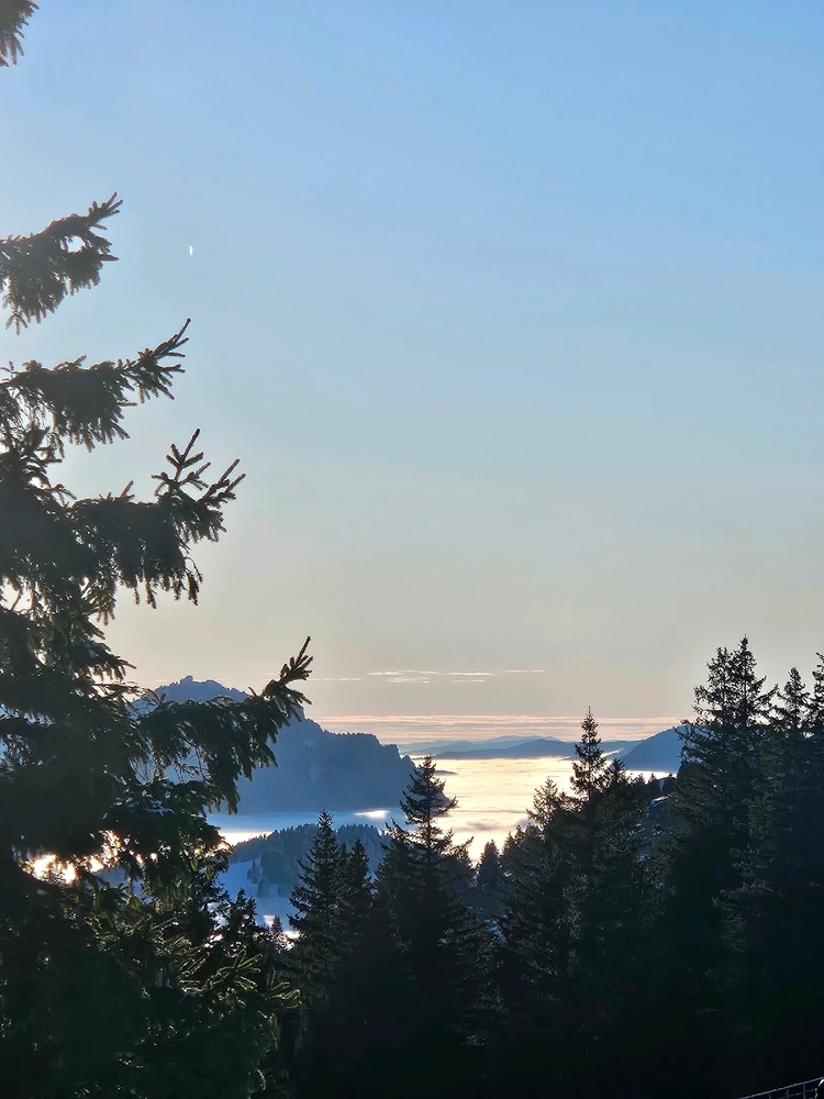 GIF ajouté par Baptiste