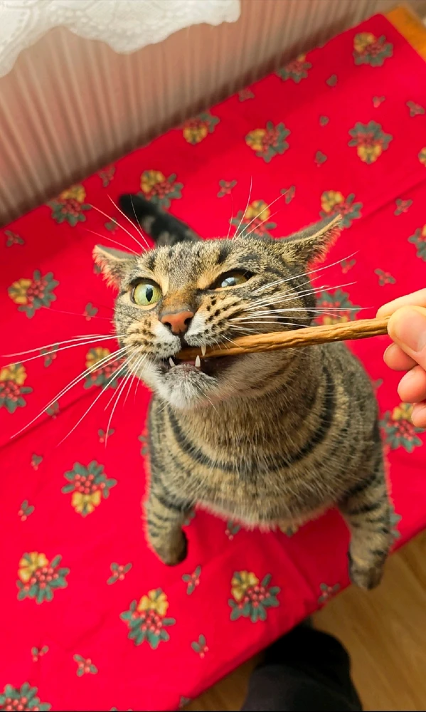 András által feltöltött GIF