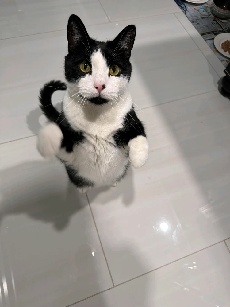 Gambar diunggah dening Colin