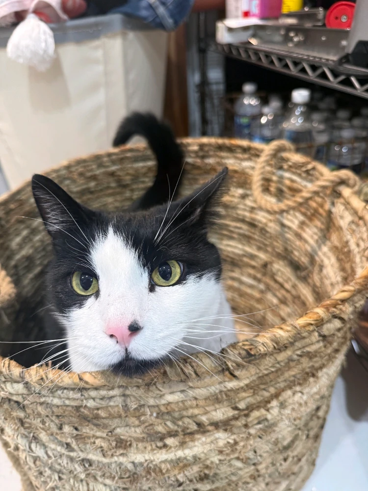 Gambar diunggah dening Colin