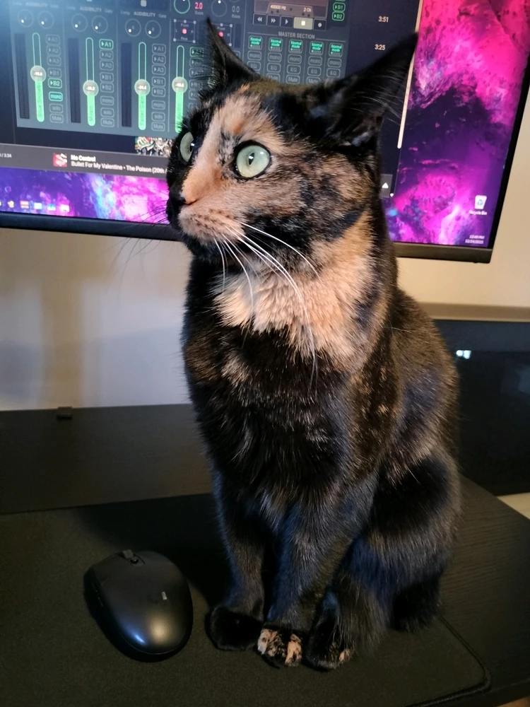 GIF uploaded by Anthony