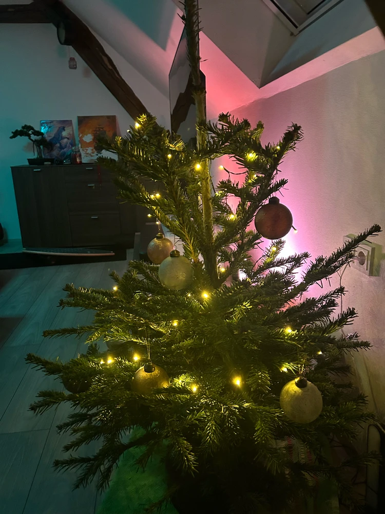 GIF hochgeladen von Michael