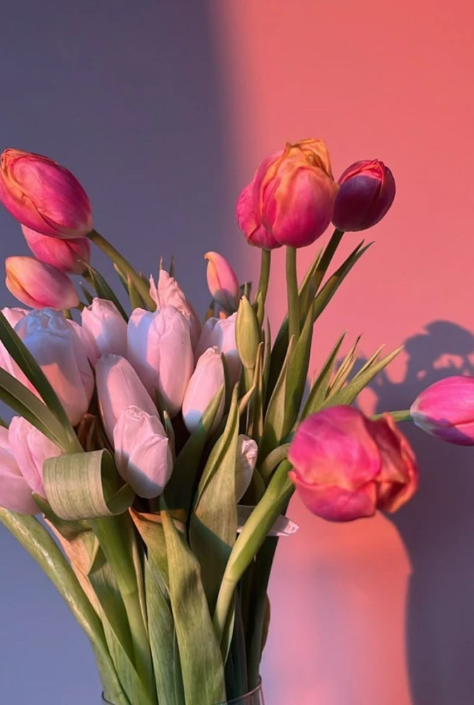 GIF uploaded by Jo