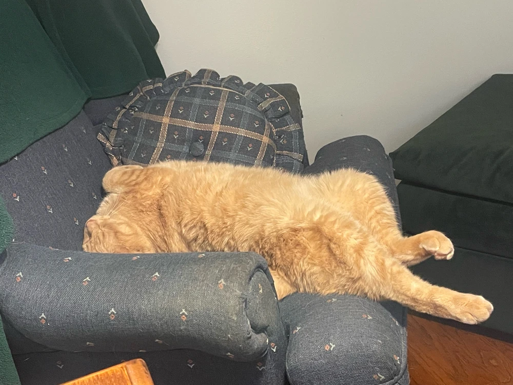 GIF uploaded by Robbie