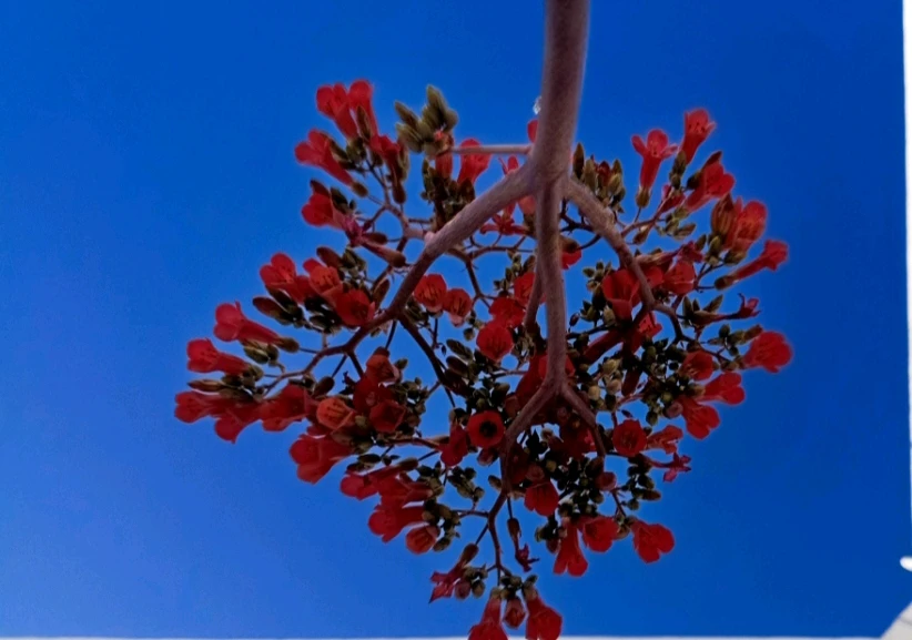 GIF subido por Rommel