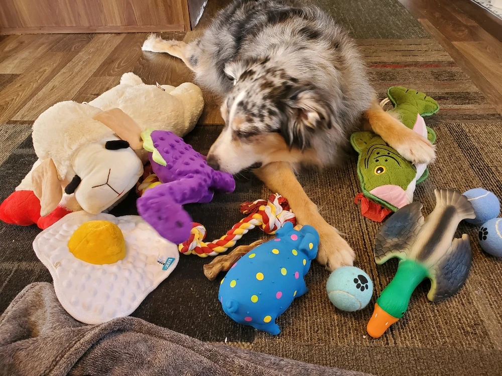 Image uploaded by Gwen