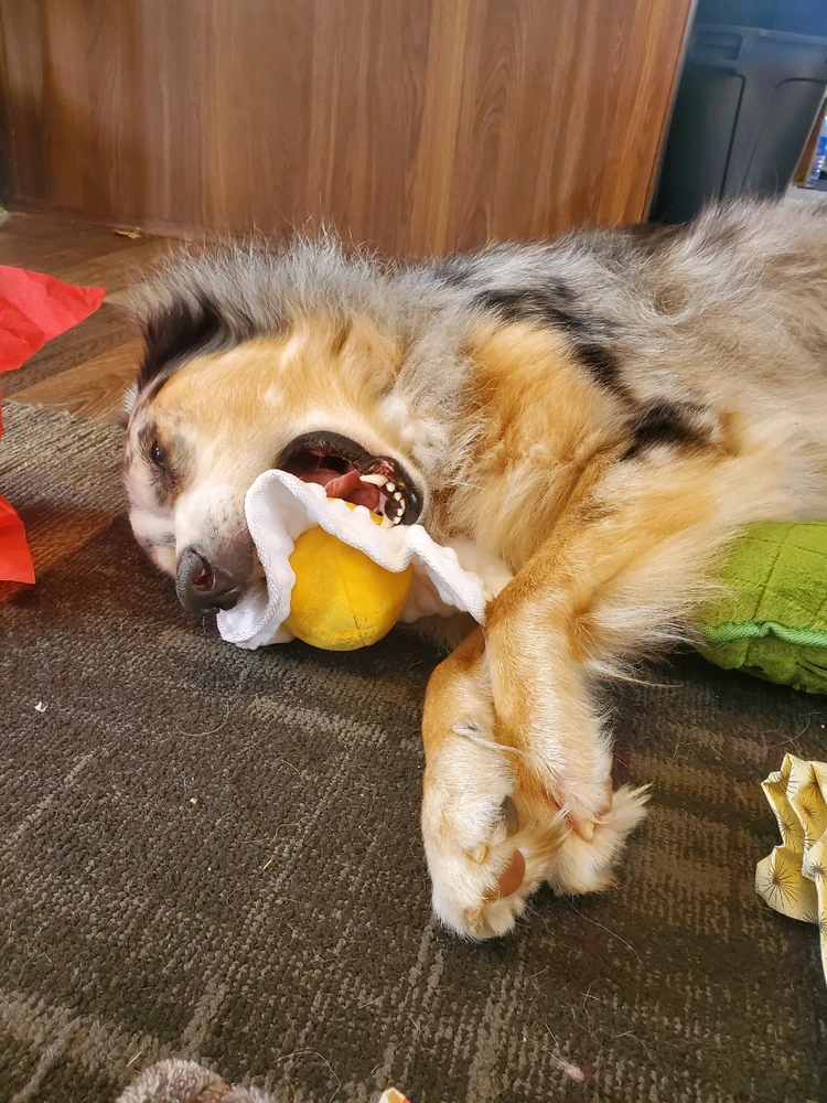 Image uploaded by Gwen