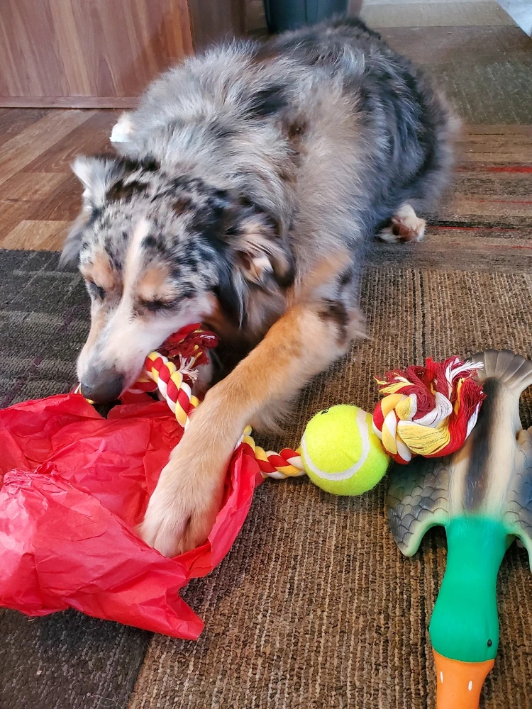 Image uploaded by Gwen