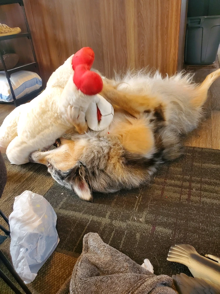 Image uploaded by Gwen