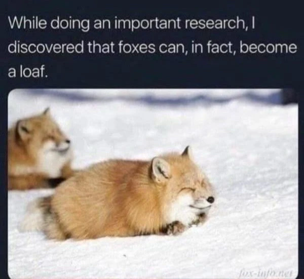 GIF uploaded by 🌙✨ℳℯ𝓁𝒶𝓃𝒾𝓆𝓊ℯ✨🌙