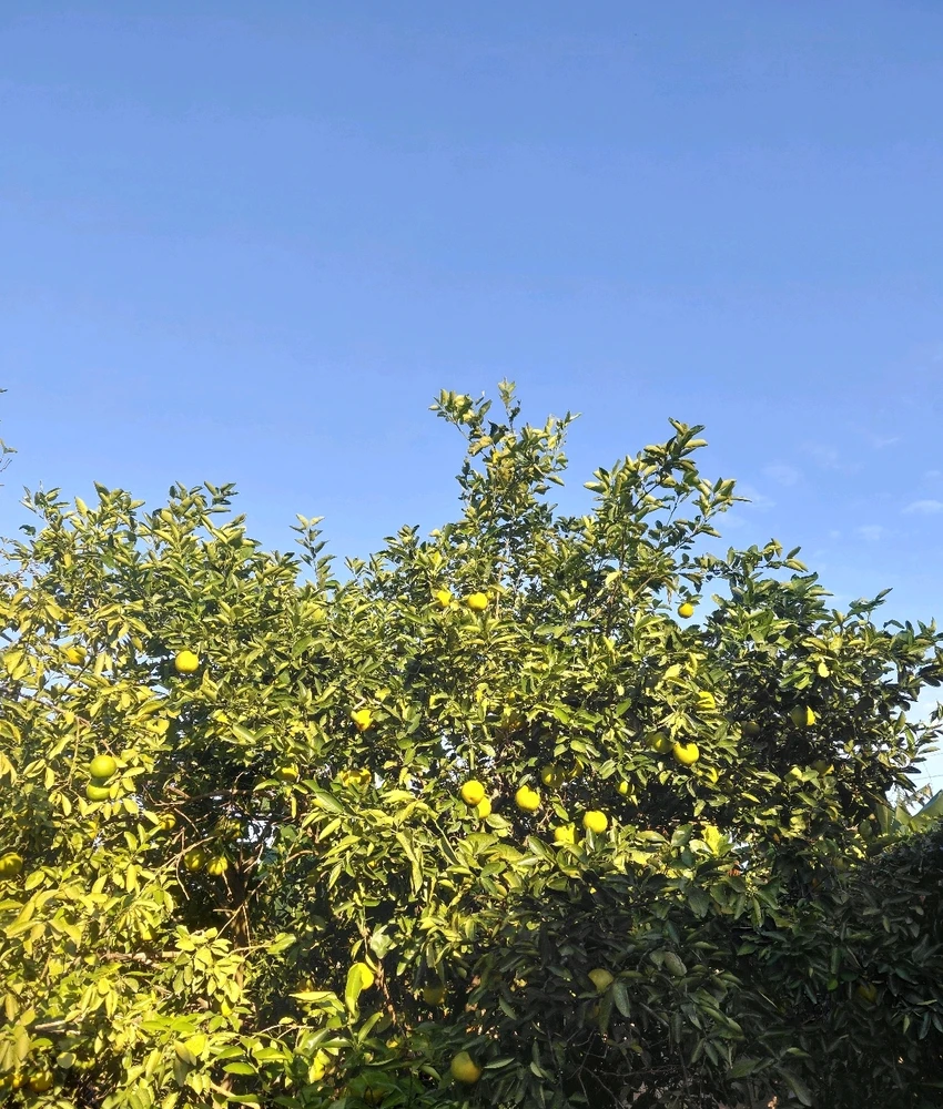 Imagen subida por Sofía