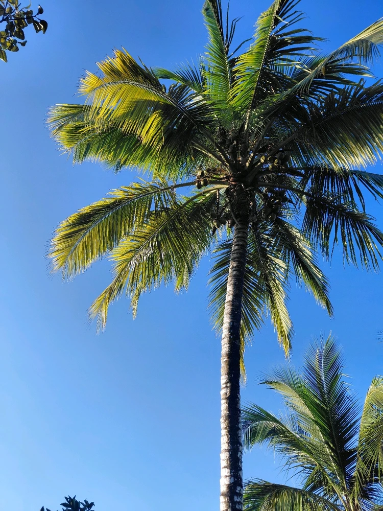 Imagen subida por Sofía