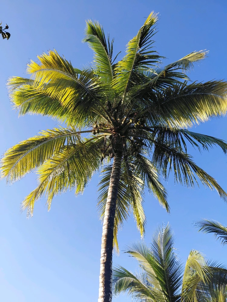 Imagen subida por Sofía