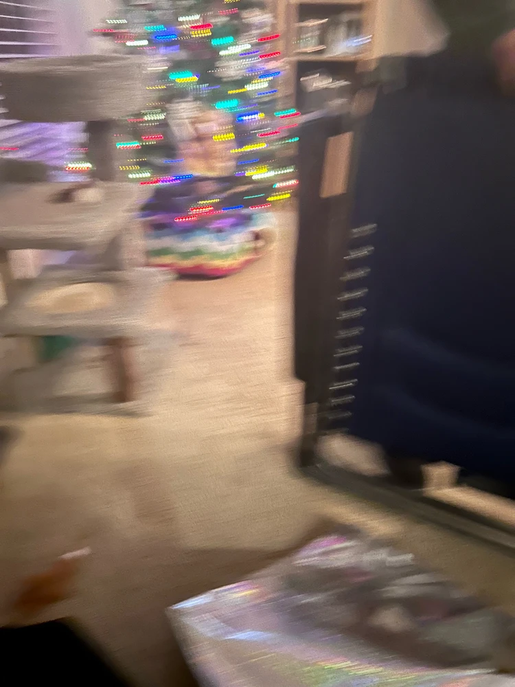 Image uploaded by Jake