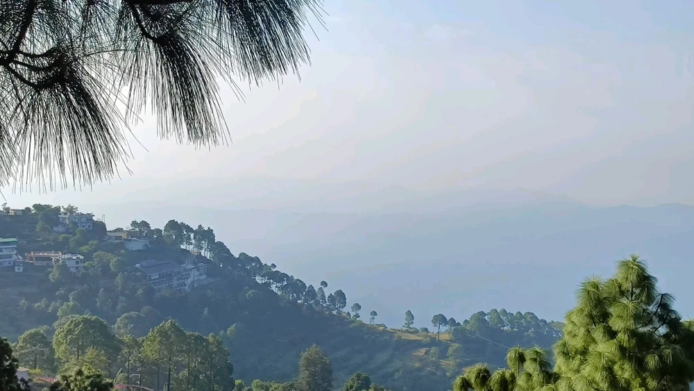 Image uploaded by Deborshi