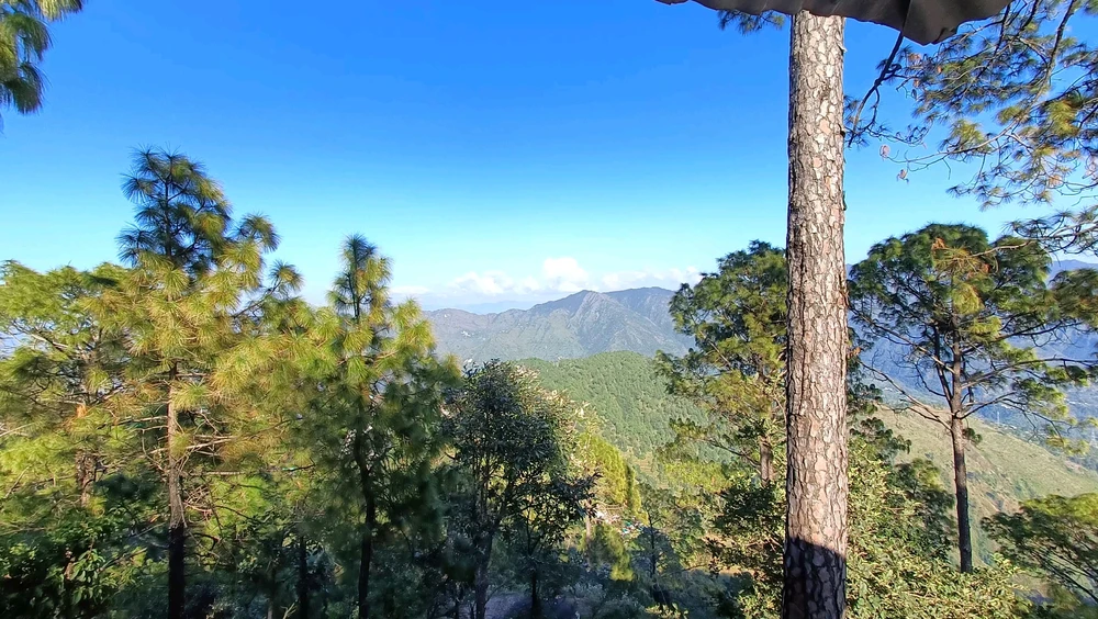 Image uploaded by Deborshi