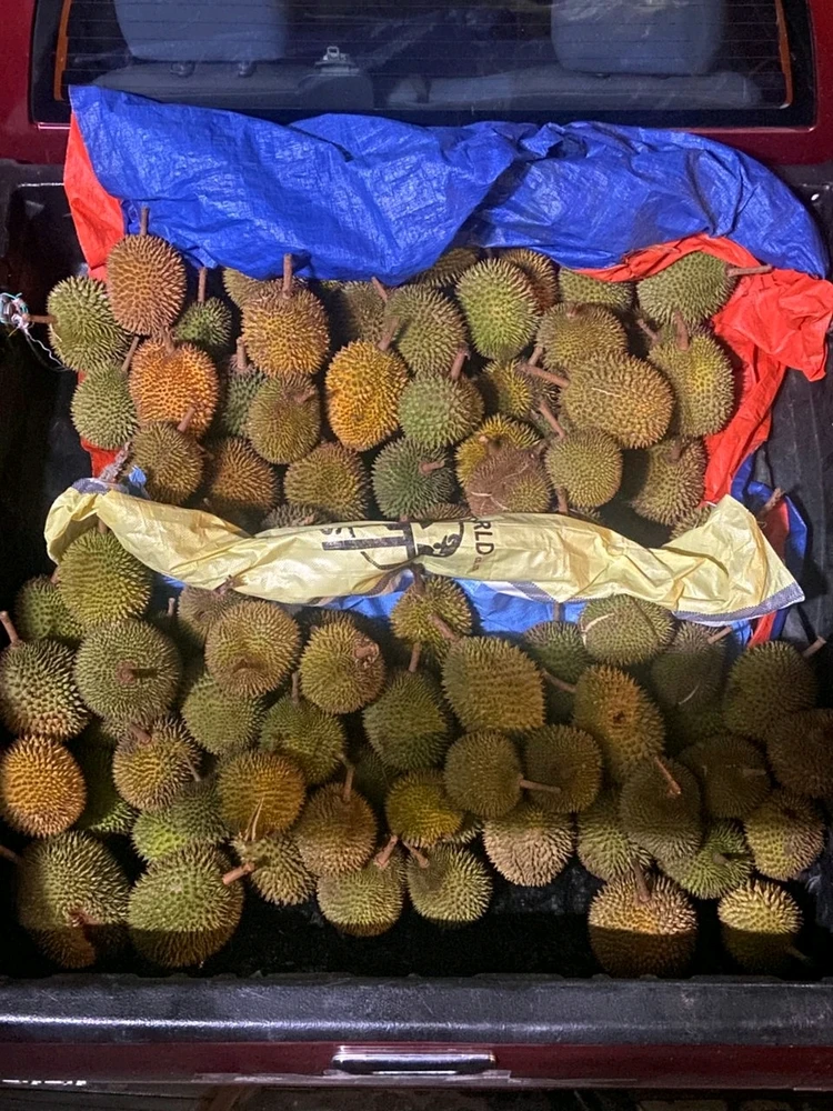 GIF uploaded by Hanah