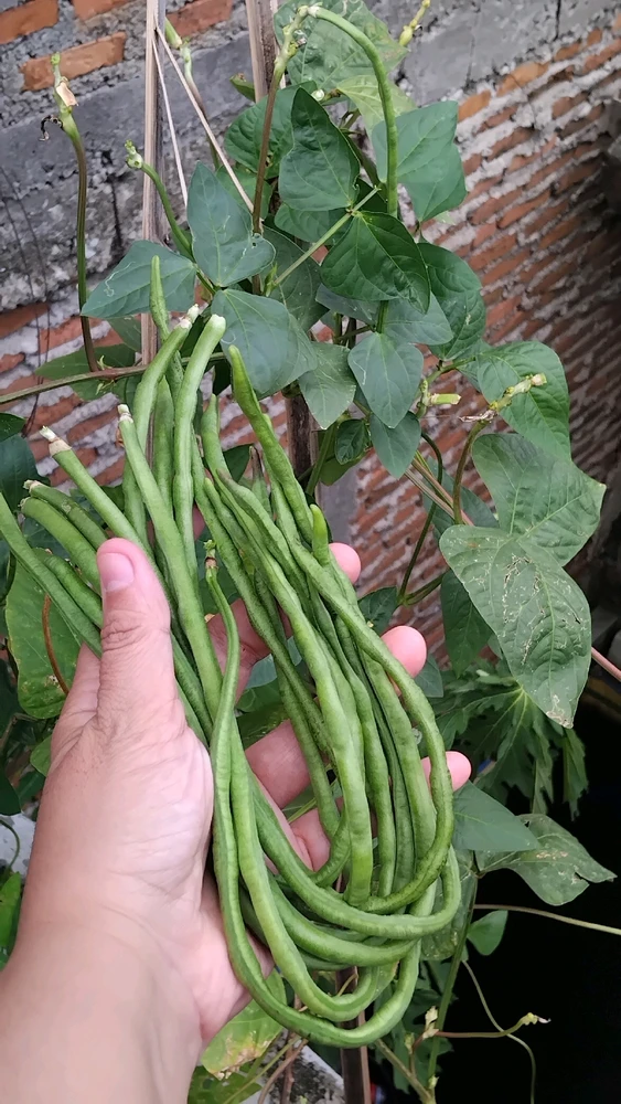 GIF diunggah dening Decy