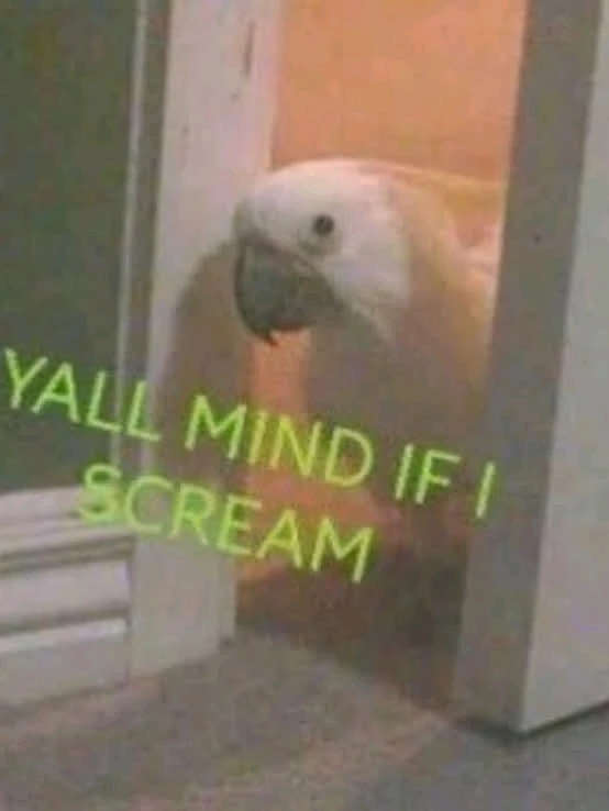 GIF uploaded by Izzy