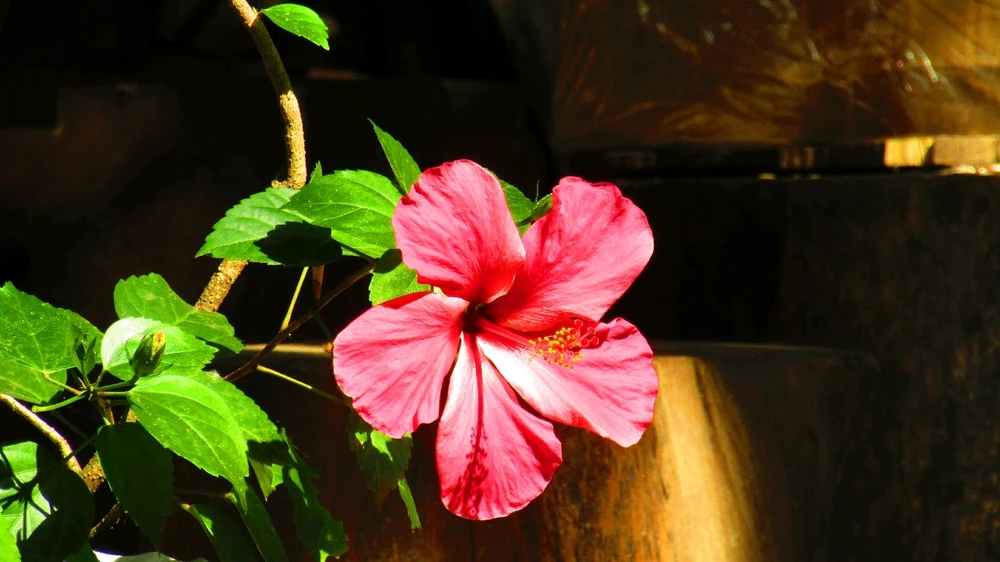 GIF uploaded by kiki