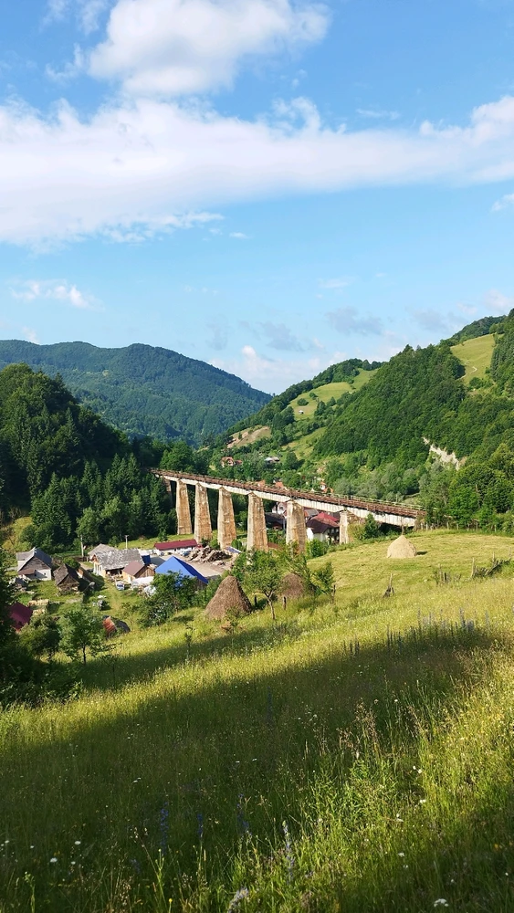 Obrázek nahrál Patrik Řeháček