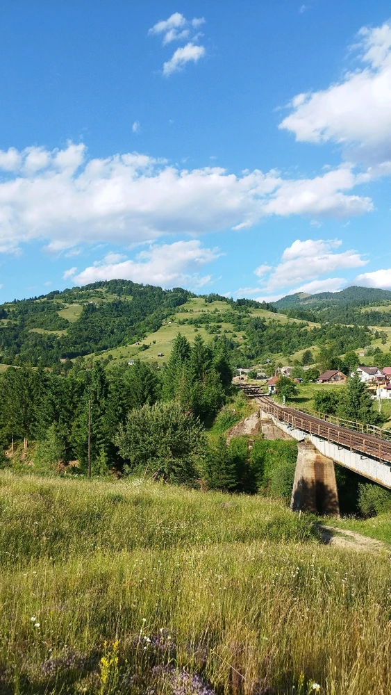Obrázek nahrál Patrik Řeháček