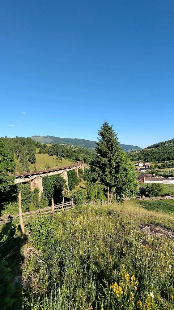 Obrázek nahrál Patrik Řeháček