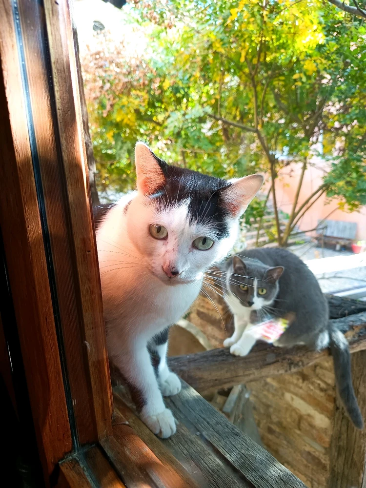 GIF ajouté par Marie