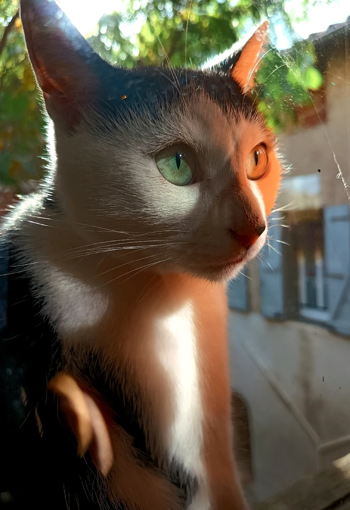 GIF ajouté par Marie