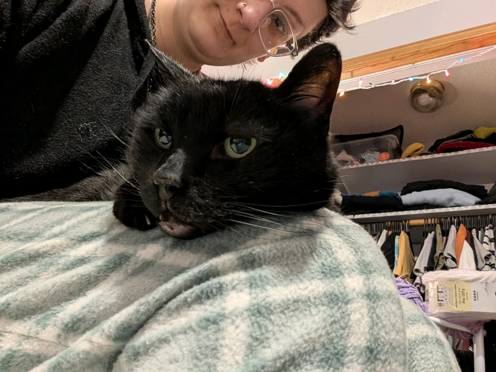 GIF uploaded by Steph