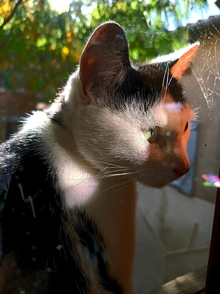 GIF ajouté par Marie