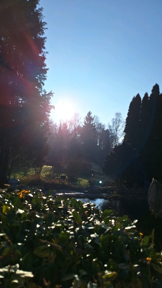 Bild hochgeladen von Torsten