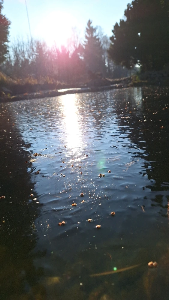 Bild hochgeladen von Torsten