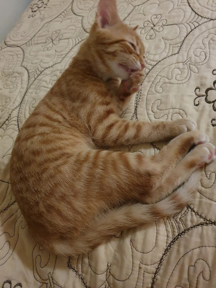 Image uploaded by Nikole