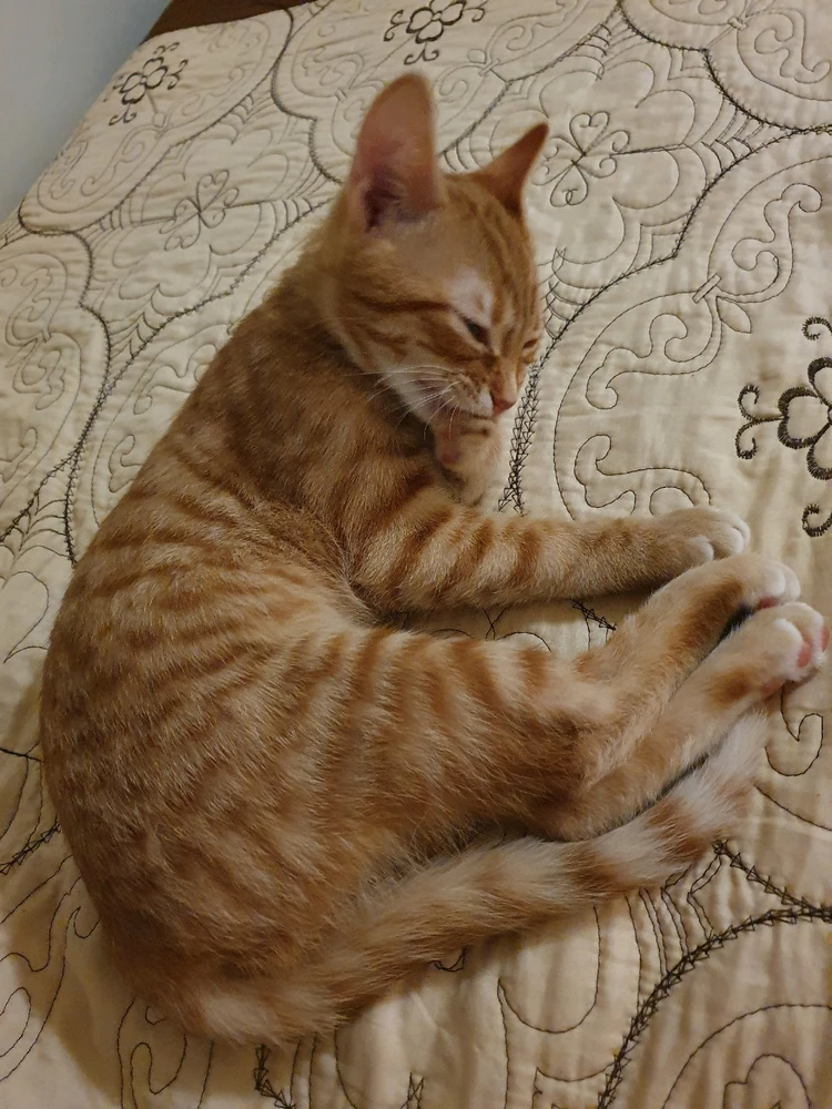 Image uploaded by Nikole