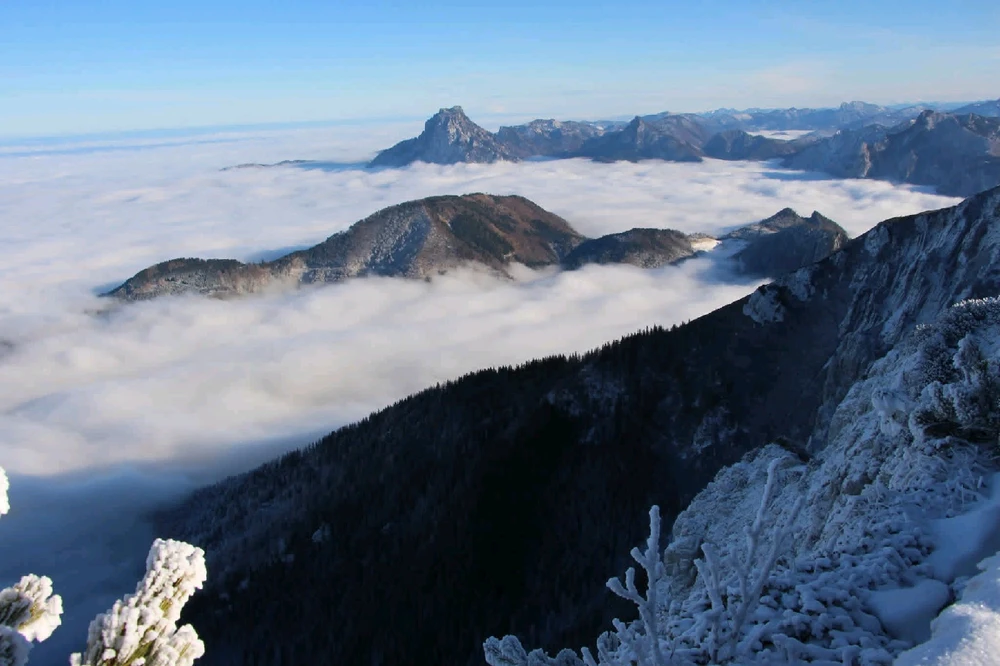 Obrázek nahrál Michal