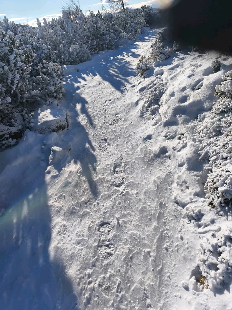 Obrázek nahrál Michal