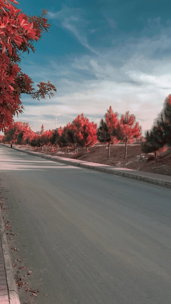 GIF uploaded by Omar